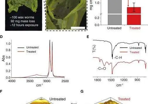 微小的蠕虫如何解决全球的塑料问题