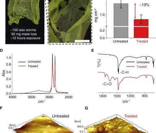 微小的蠕虫如何解决全球的塑料问题